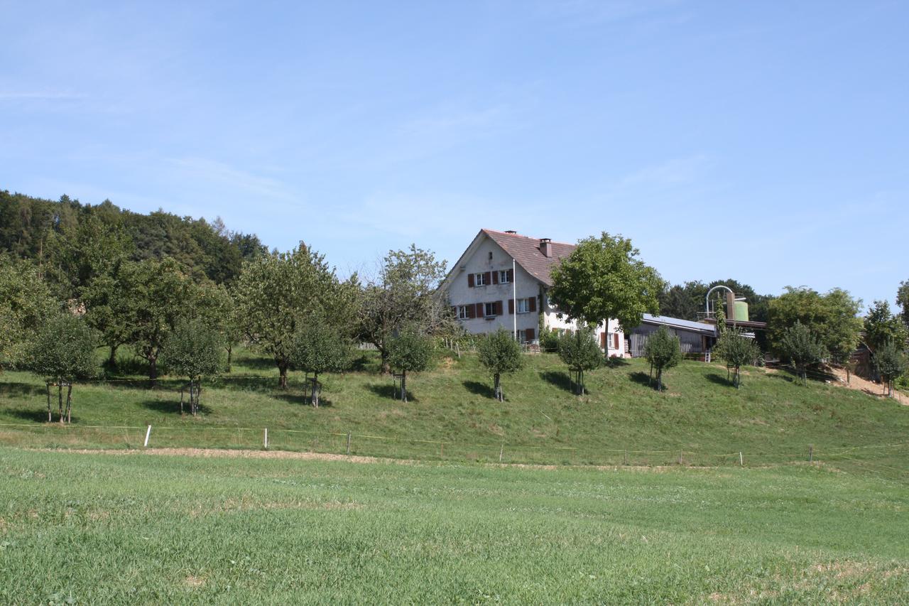 Bnb Im Waldhof Bachenbulach Экстерьер фото